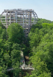 Baumwipfelpfad & Aussichtsturm © Naturerbe Zentrum Rügen Baumwipfelpfad & Aussichtsturm