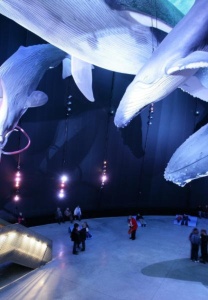 Ozeaneum Stralsund © J.-M. Schlorke Ozeaneum Stralsund