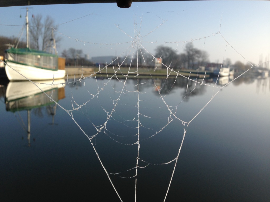 Diana Gürtler: Spaziergang an einem wunderschönen, kalten Februarmorgen, Spinnennetz auf der Fußgängerbrücke im Museumshafen