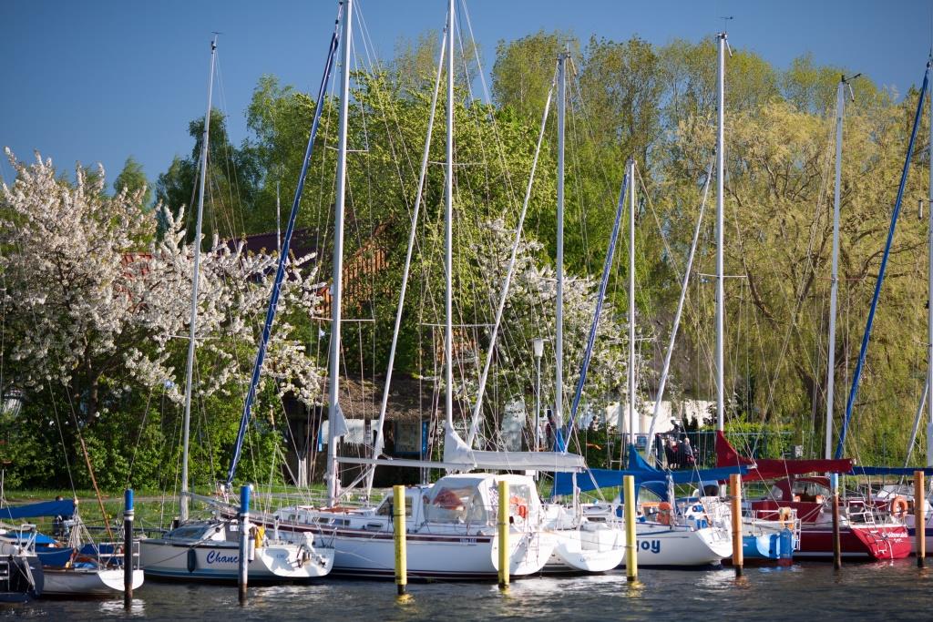 Roland Stelzer, Maiblüte am Ryck