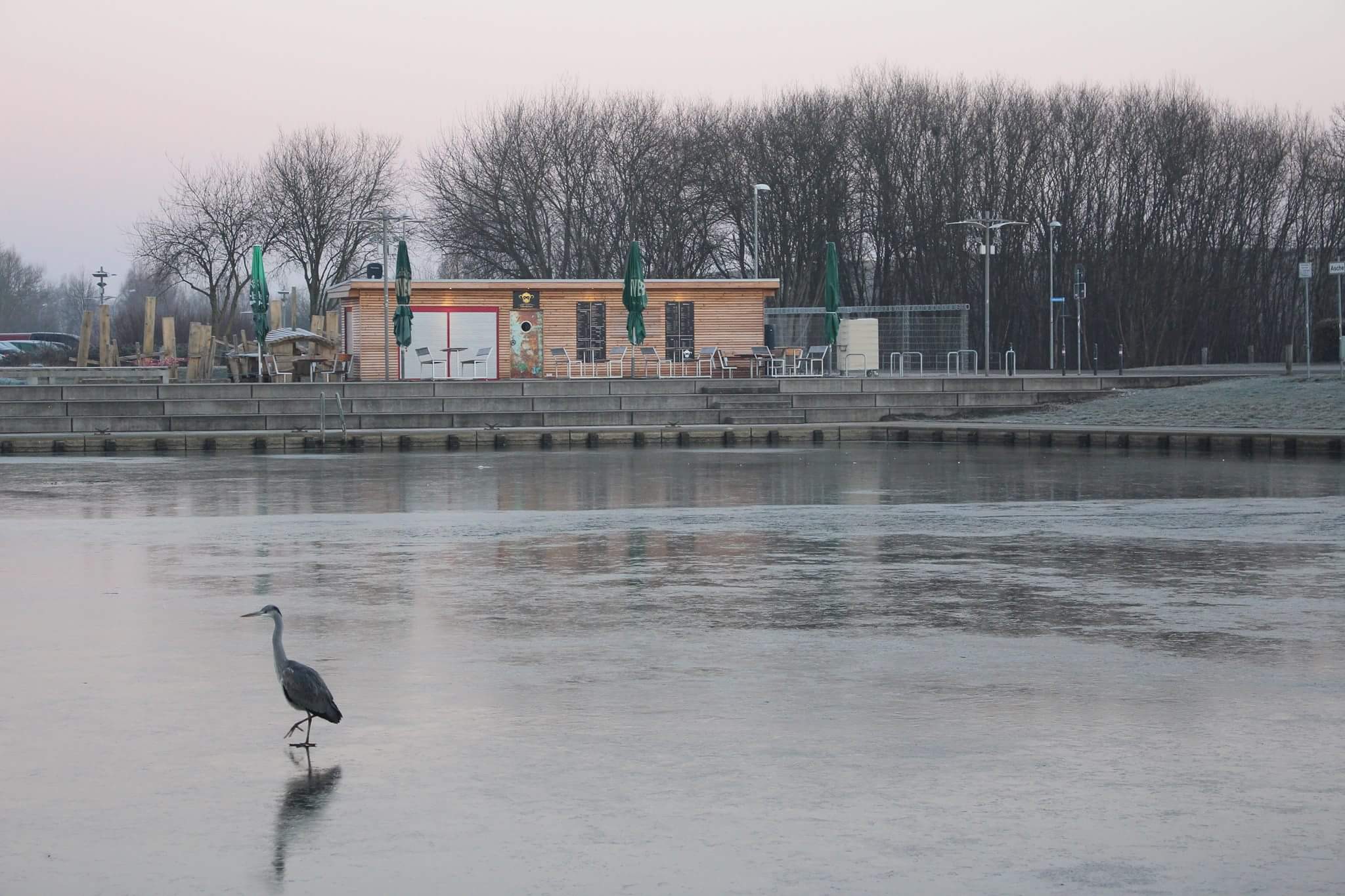 Anne Tischler Morgenspaziergang am Museumshafen