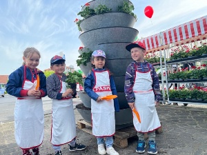 Pflanzaktion Blumenkaskaden © Theres Behnke Pflanzaktion Blumenkaskaden