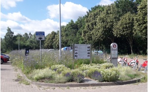 Blick auf die Blühfläche in Ladebow mit einem Hinweisschild, die sich inmitten eines Parkplatzes befindet