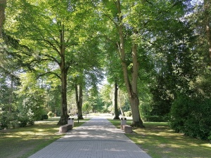Eingang Neuer Friedhof mit zwei Bänken sowie mehreren Bäumen rechts und links vom Gehweg