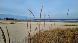 Blick auf das Strandbad Eldena im Februar 2023 bevor die Sandaufschüttung beginnt