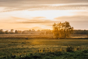 Ein Paar spaziert im Sonnenuntergang durch die Wiesen vor Greifswald