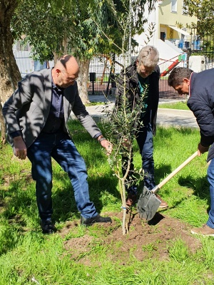 Vertreter aus Samos und Oberbürgermeister Dr. Stefan Fassbinder pflanzen gemeinsam einen Baum als Symbol einer wachsenden Freundschaft
